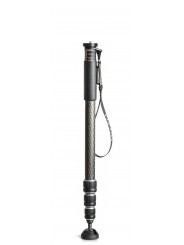 Monopod, series 2, 4 sections Gitzo - 
Ultra-light, 4-section Carbon eXact fiber monopod
High rigidity and quick set up with G-l