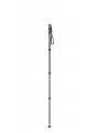 Monopod, series 2, 4 sections Gitzo - 
Ultra-light, 4-section Carbon eXact fiber monopod
High rigidity and quick set up with G-l