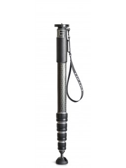 Monopod, series 4 long, 5 sections, long Gitzo - 
Extra-tall, 5-section carbon fiber monopod
Perfect for shooting over crowds an