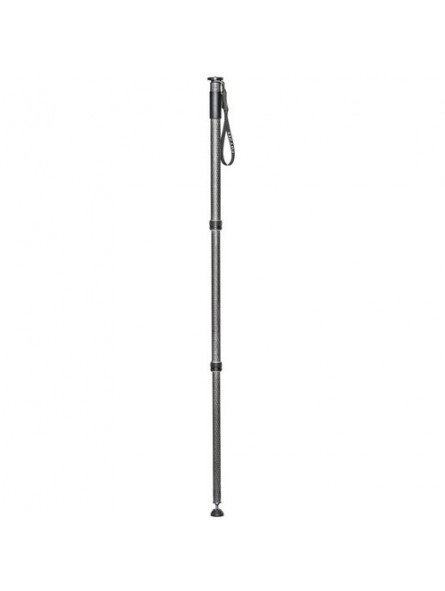 Monopod, series 4, 3 sections Gitzo - 
Incredibly light, 3-section carbon fiber monopod
Superb stability for professional DSLRs 