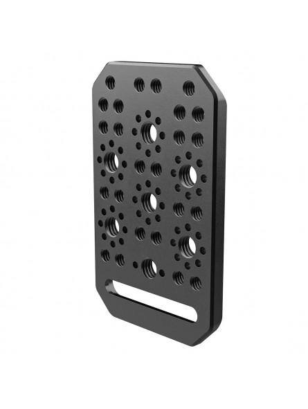 8Sinn Cheese Plate 8Sinn - - 24 x 1/4" Befestigungspunkte- 7 x 3/8" Befestigungspunkte mit Arri-Aufnahmepunkten- Aluminium