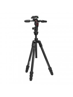 BEFREE GT PRO 3W Carbon kit