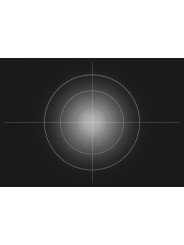 251 Viertel Weiß Diffusion Rosco - 2